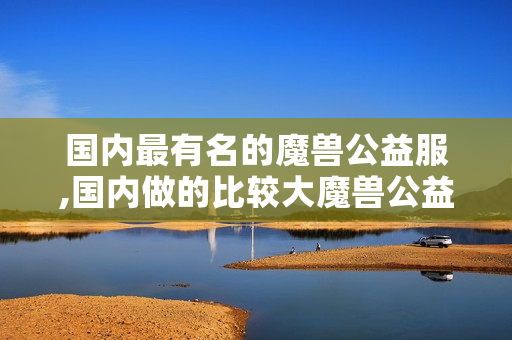 国内最有名的魔兽公益服,国内做的比较大魔兽公益服