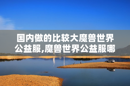 国内做的比较大魔兽世界公益服,魔兽世界公益服哪个好玩？