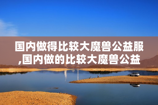 国内做得比较大魔兽公益服,国内做的比较大魔兽公益服