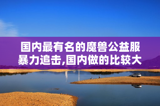国内最有名的魔兽公益服暴力追击,国内做的比较大魔兽公益服