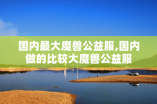 国内最大魔兽公益服,国内做的比较大魔兽公益服