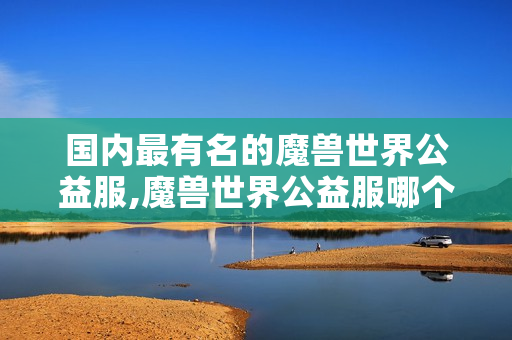 国内最有名的魔兽世界公益服,魔兽世界公益服哪个好玩?